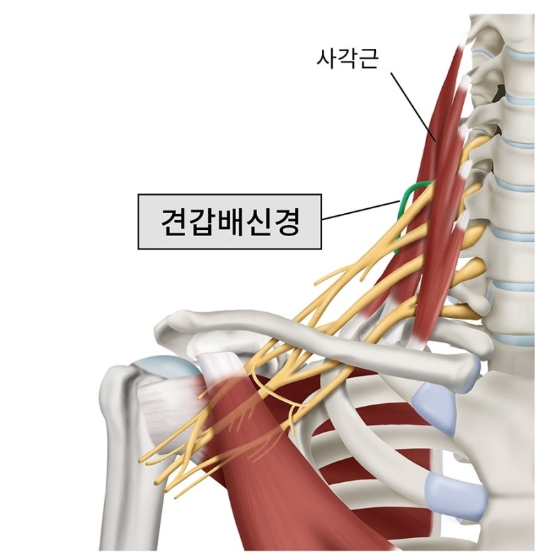 반석한의원 이미지