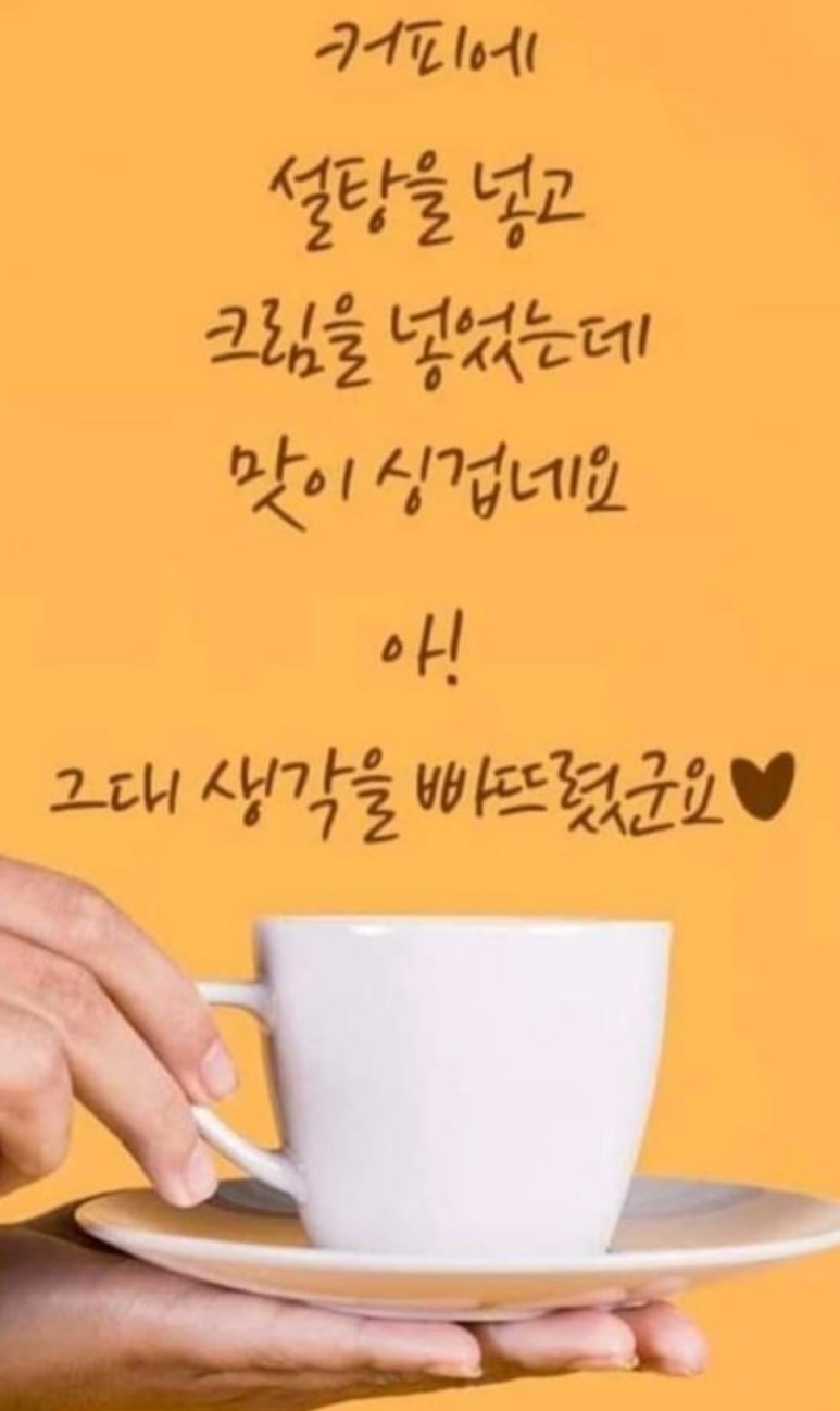 타이어프로천우신항점 이미지