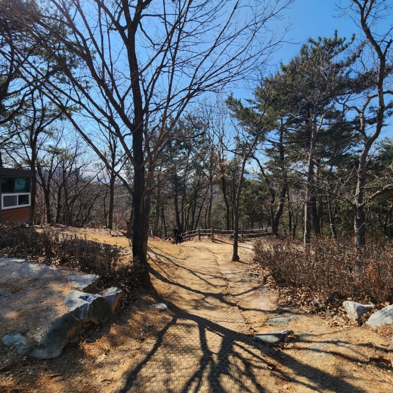 남산 유아숲체험원 이미지