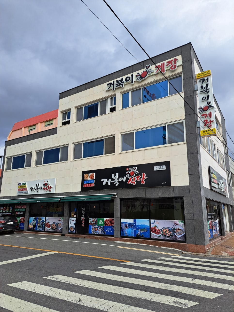 거북이 몰 이미지