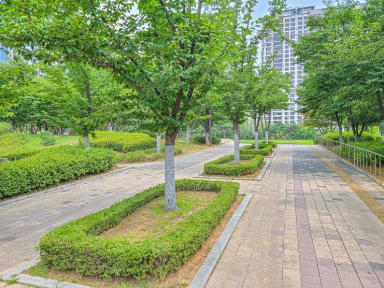 일산은행초등학교 이미지