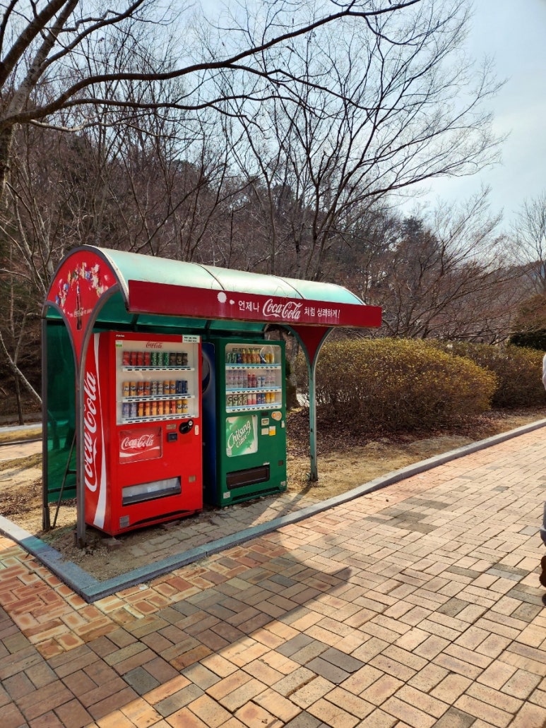 슈슈패밀리 이미지