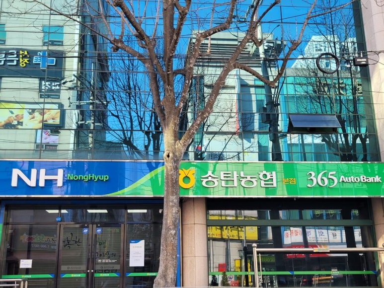 송탄농협하나로마트 이미지