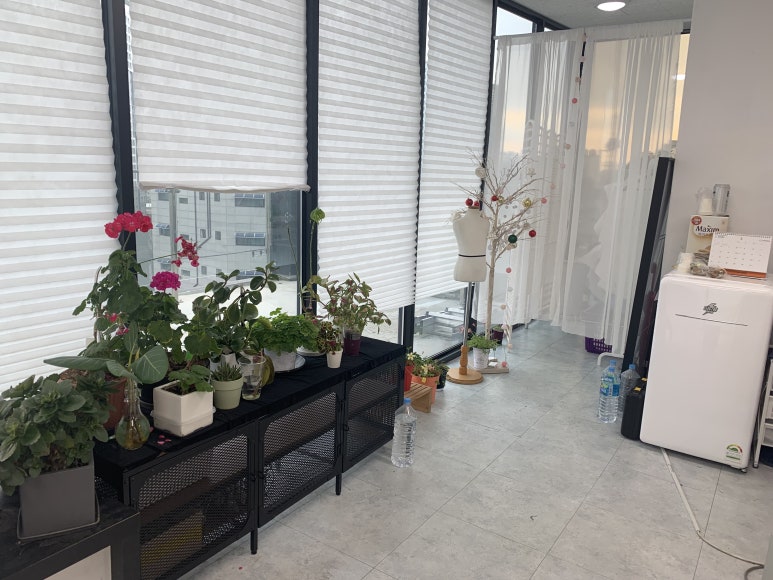 리듬앤스타일 이미지
