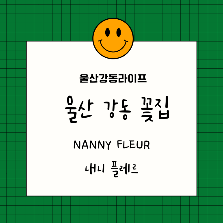 내니플레르 이미지