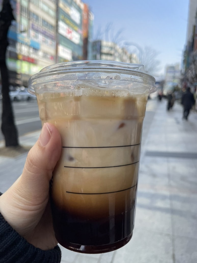 코이라멘 이미지