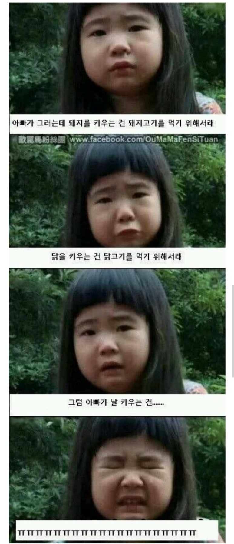 아빠닭 이미지