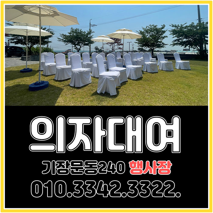 문동240 이미지