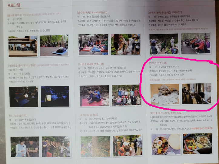 소울치유의숲 이미지