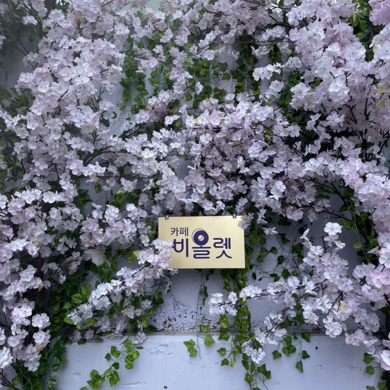 비올렛베이커리 이미지