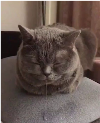 다정한의원 이미지