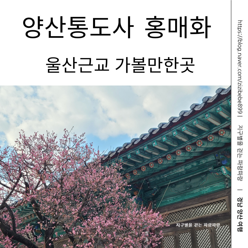 한림꽃농원 이미지