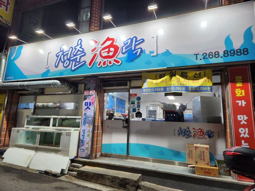 청춘어락 이미지