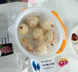 마니아 컴 이미지
