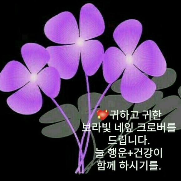 광명대창집여수 이미지