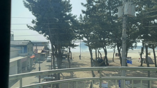 연포2020 이미지