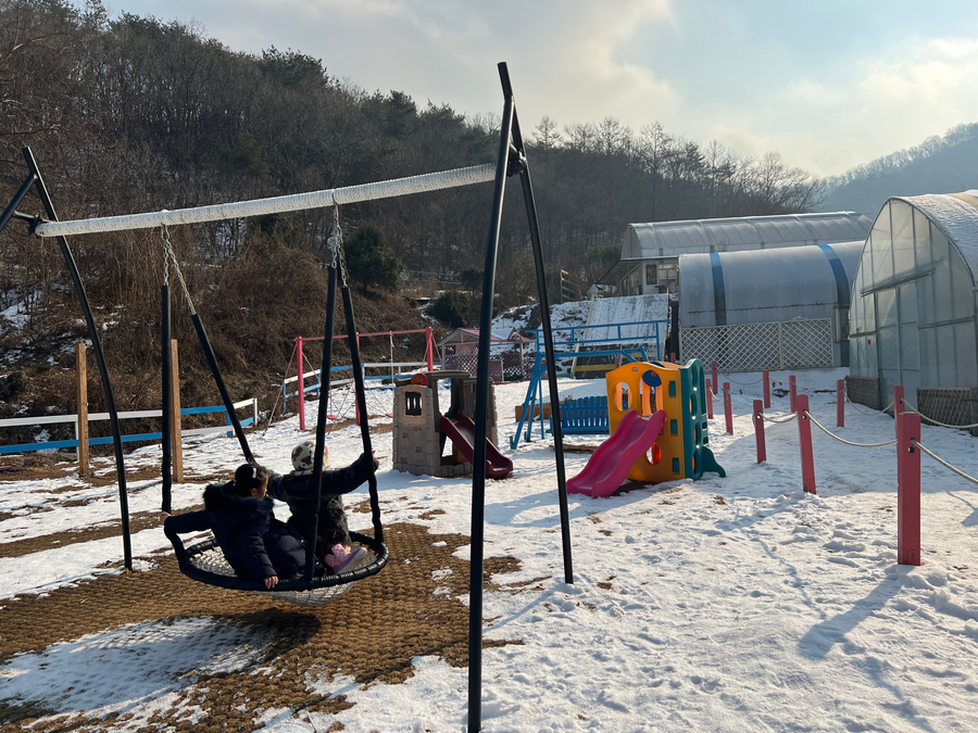 숲속에 딸기 이미지