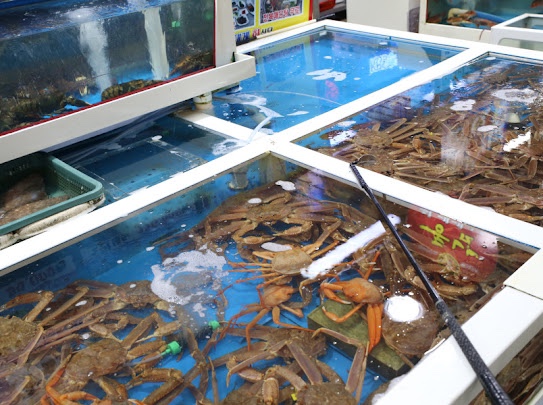 동남회식당 이미지