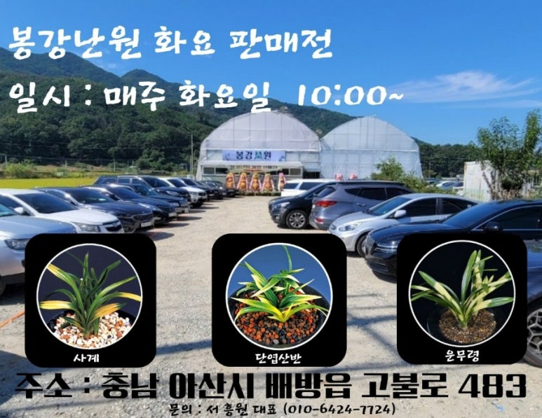 봉강난원 이미지