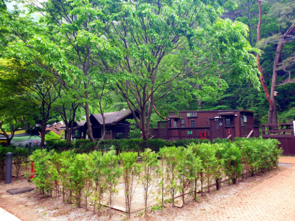 소백산국립공원 남천야영장 이미지