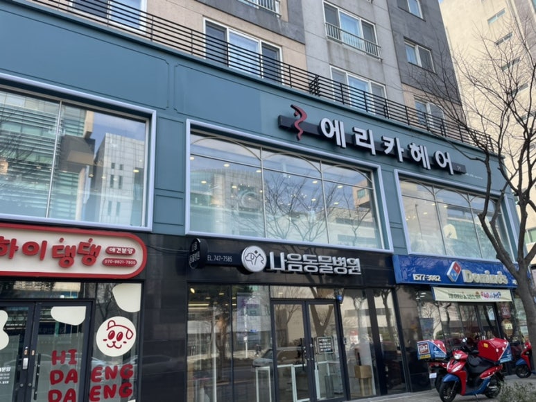 에리카헤어 노형점 이미지