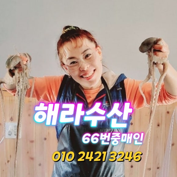 ６６번중매인 이미지