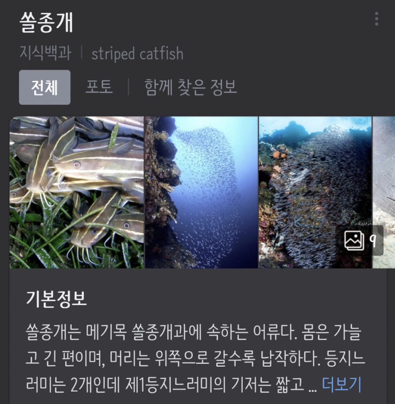 365식자재마트 이미지