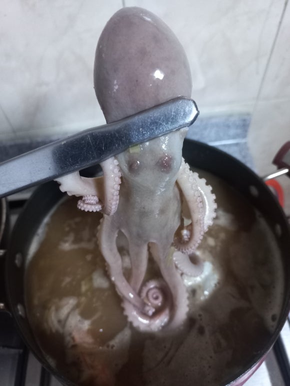 ６６번중매인 이미지