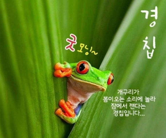 개인(용달)화물-8 이미지