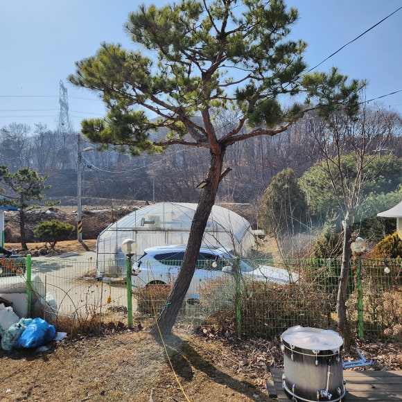 은평악기 이미지