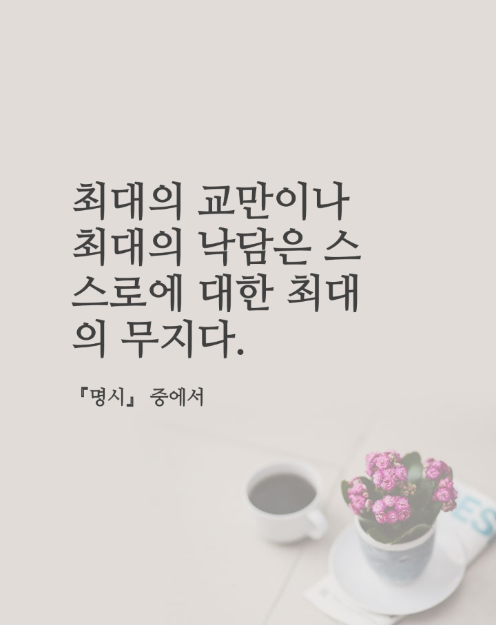 수갤러리 이미지