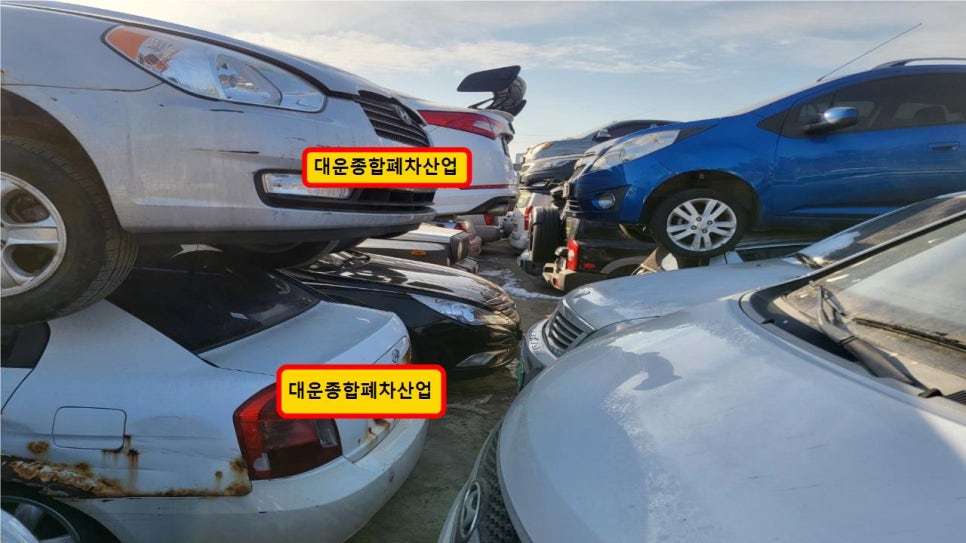 대운건설기계 이미지
