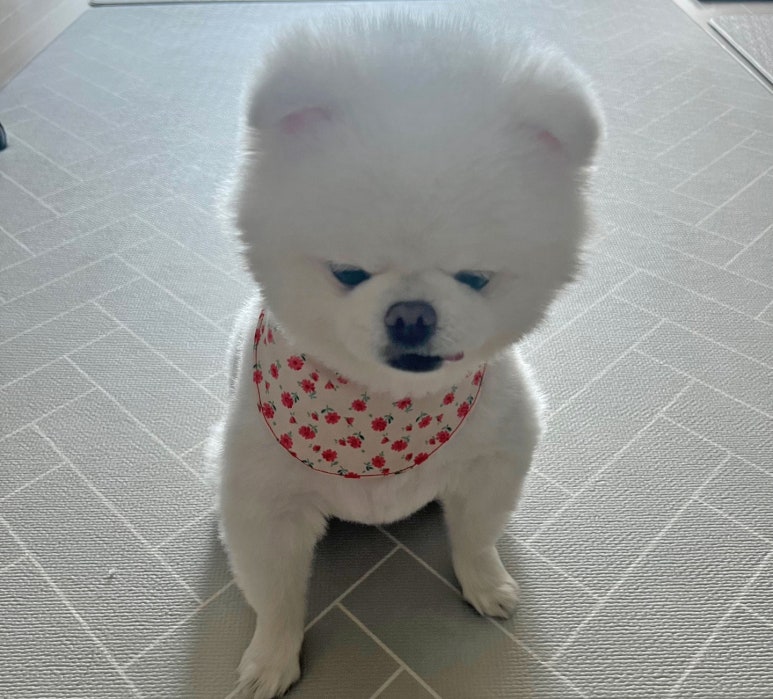 민경공방 이미지