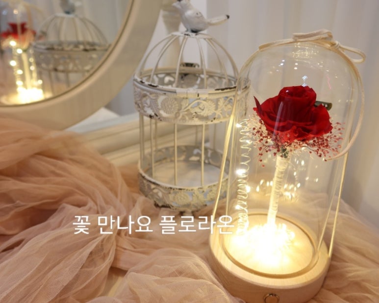플로라온 이미지