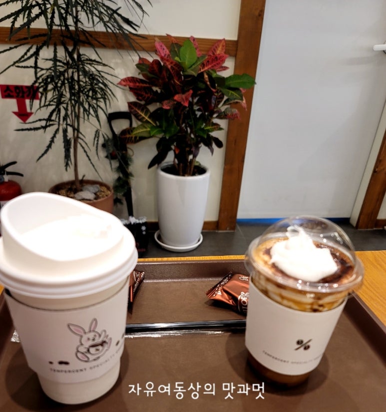 텐퍼센트커피 하월곡점 이미지