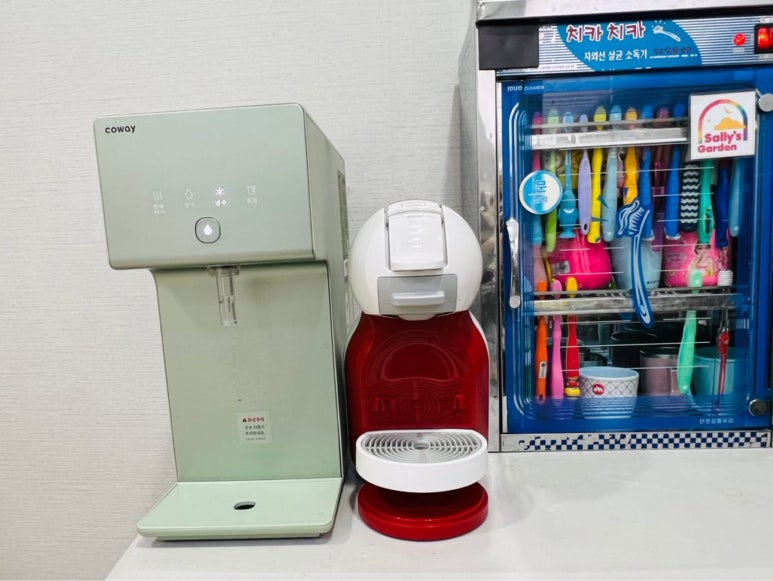 샐리스 이미지