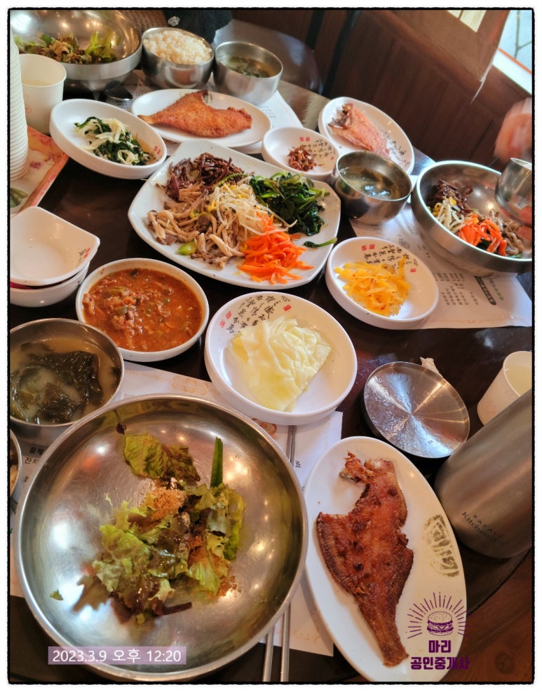 마마국시집 이미지