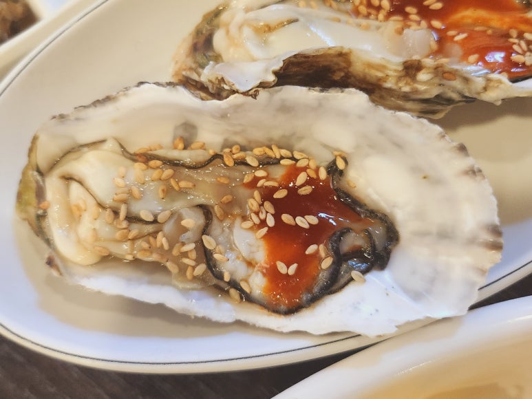 이상참치 이미지