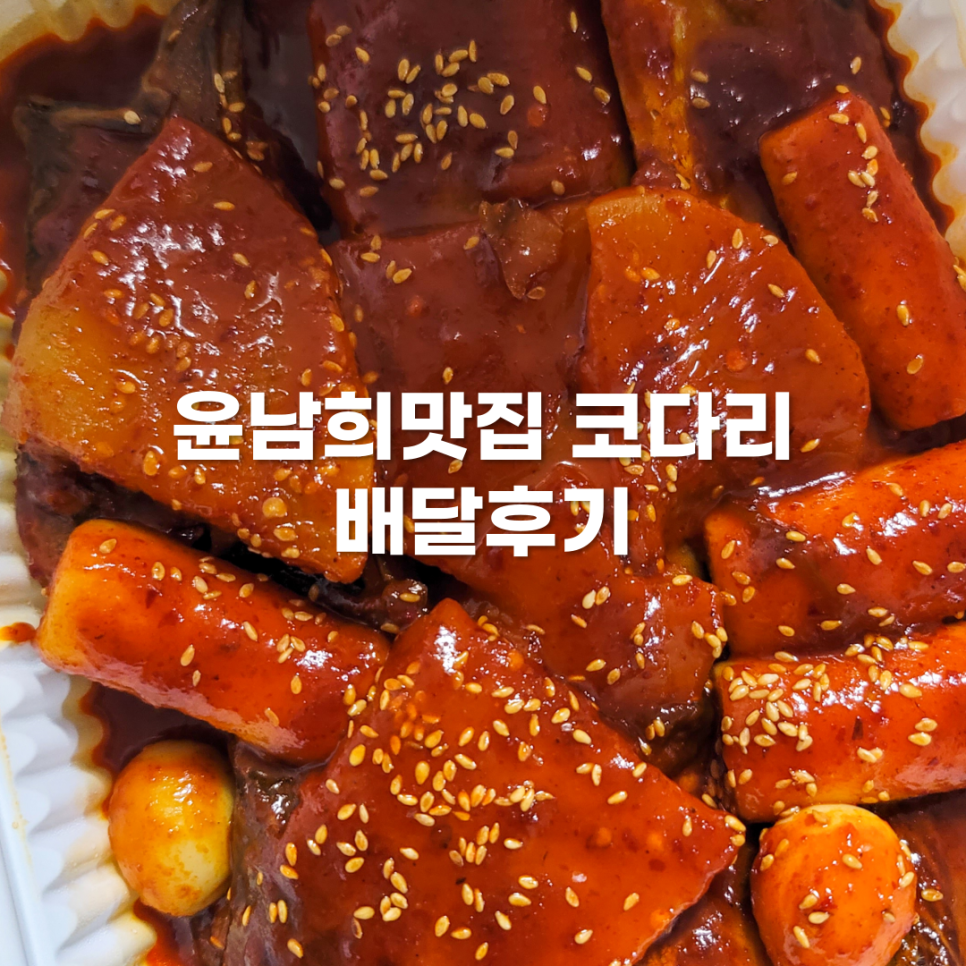 윤남희맛집코다리 이미지