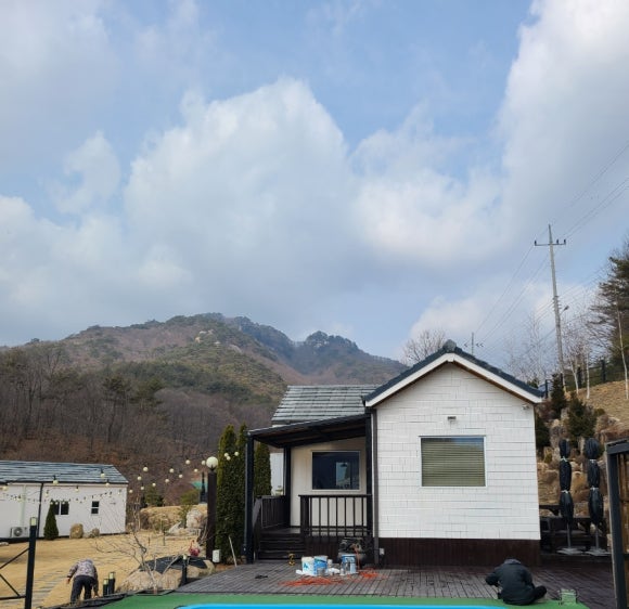 젤루느린 달팽이 이미지