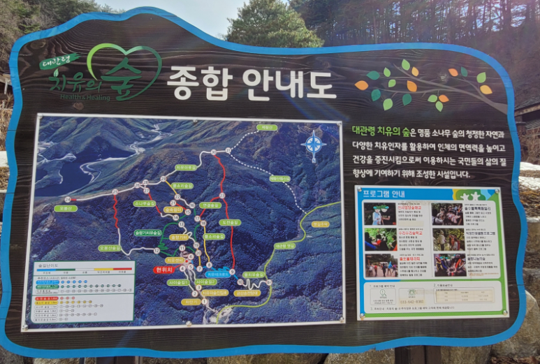 소울치유의숲 이미지