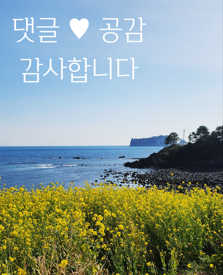 정이가네 이미지