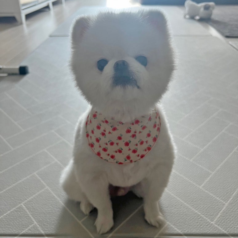 민경공방 이미지