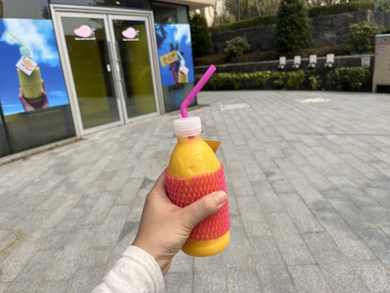 월드리치 이미지