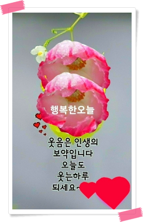 약속 식품 이미지