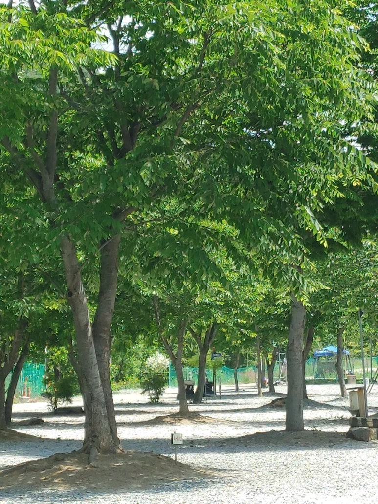 알프스캠핑장 이미지