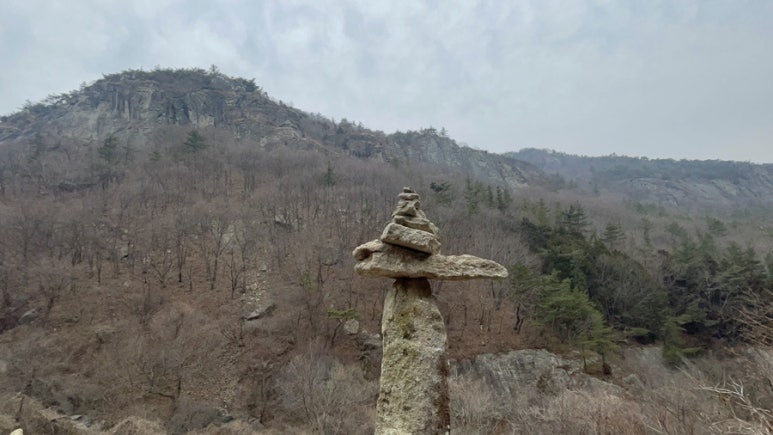 서가한우직판장 이미지