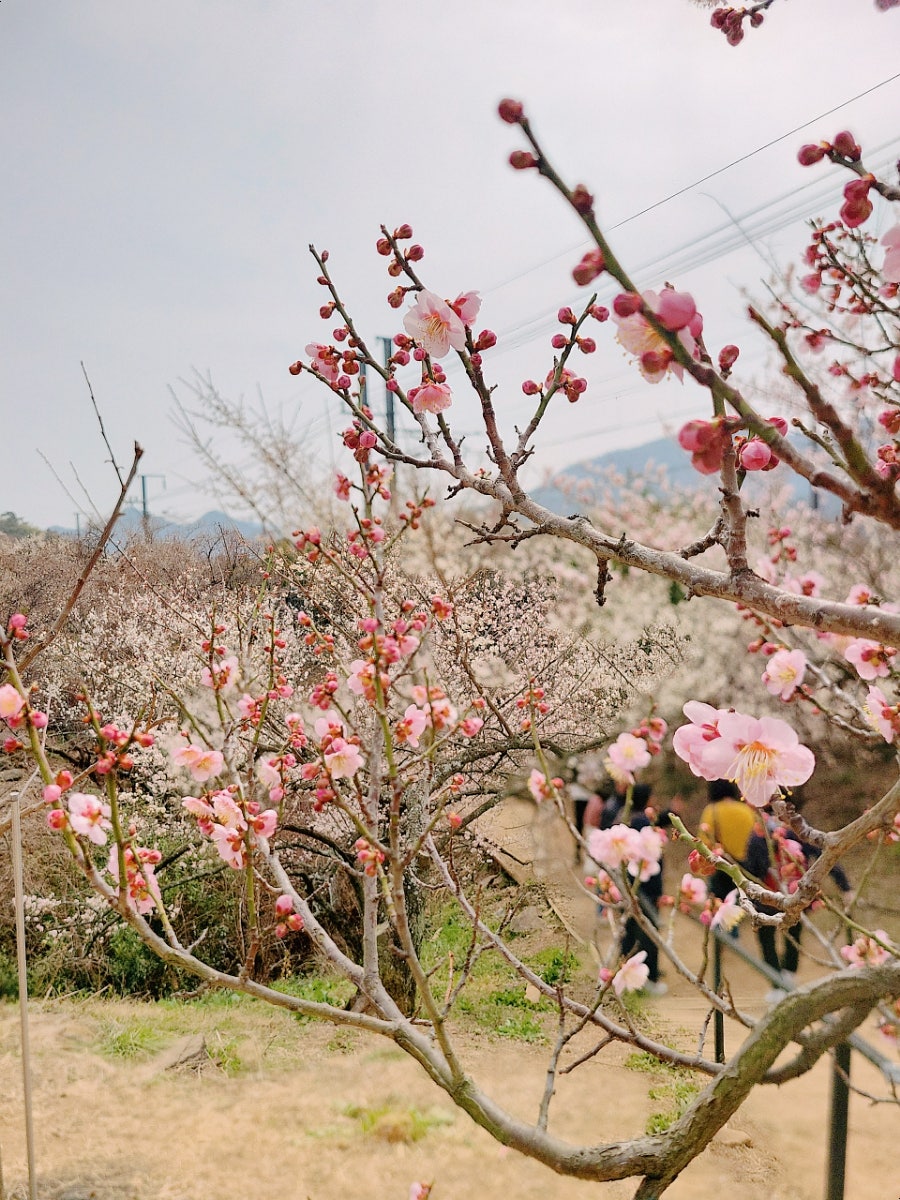 (주)원동 이미지