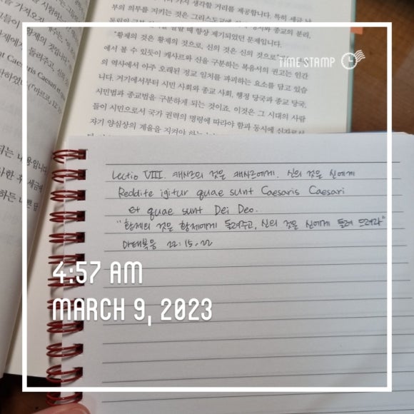 캐사르 이미지