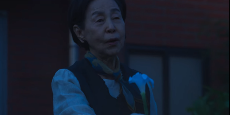 연진화분 이미지
